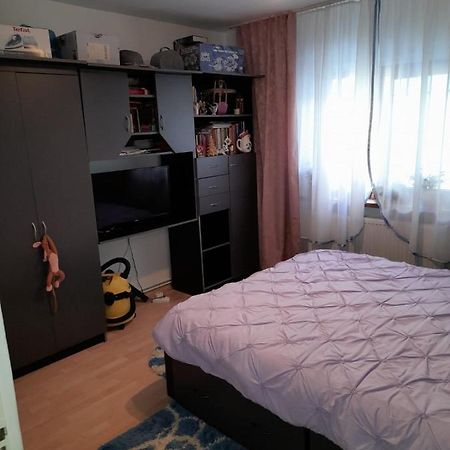 Apartament Straja - Lupeni  Exterior photo
