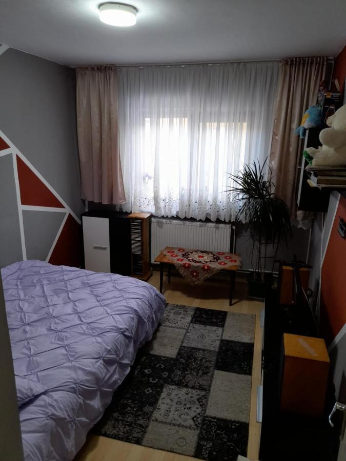 Apartament Straja - Lupeni  Exterior photo